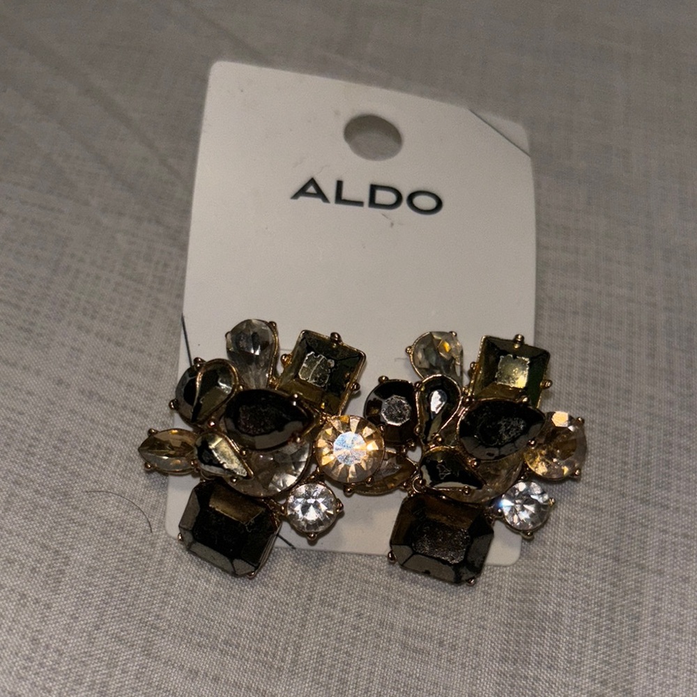 ALDO Women's Multi-Color Statement Earrings